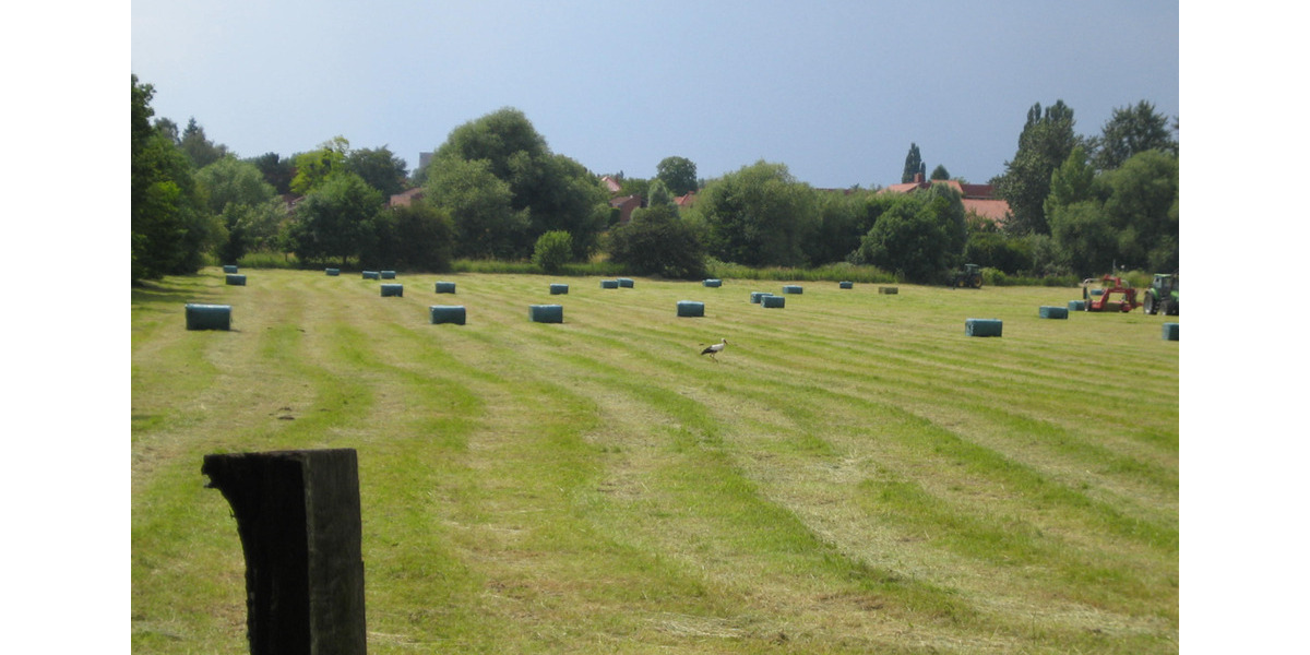 Terrassenwohnung Hannover Ricklingen - 3 Zimmer, 85 m&sup2;, 300.000&euro; | Angebot:25917408
