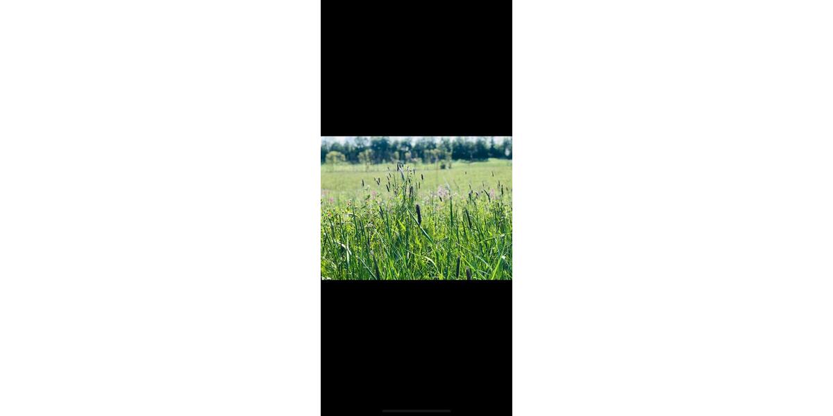 Einfamilienhaus Seelze - 1 Zimmer, 40 m&sup2;, 850&euro; | Angebot:24834098