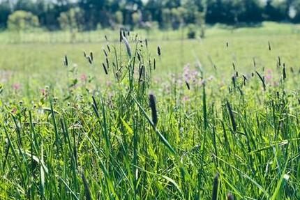 Haus Seelze - 1 Zimmer, 40 m&sup2;, 850&euro; | Angebot:24834098