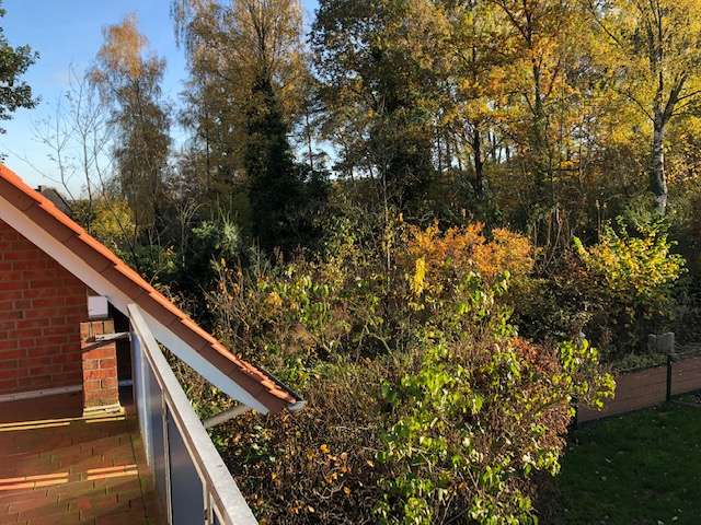 Einfamilienhaus Steimbke - 4 Zimmer, 137 m&sup2;, 956&euro; | Angebot:27465130