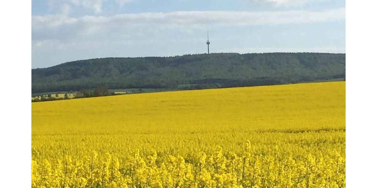 Grundstück Messenkamp - 285.000&euro; | Angebot:25746313