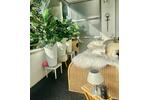 Etagenwohnung Hannover Döhren-Wülfel - 2.5 Zimmer, 61 m&sup2;, 210.000&euro; | Angebot:27458478