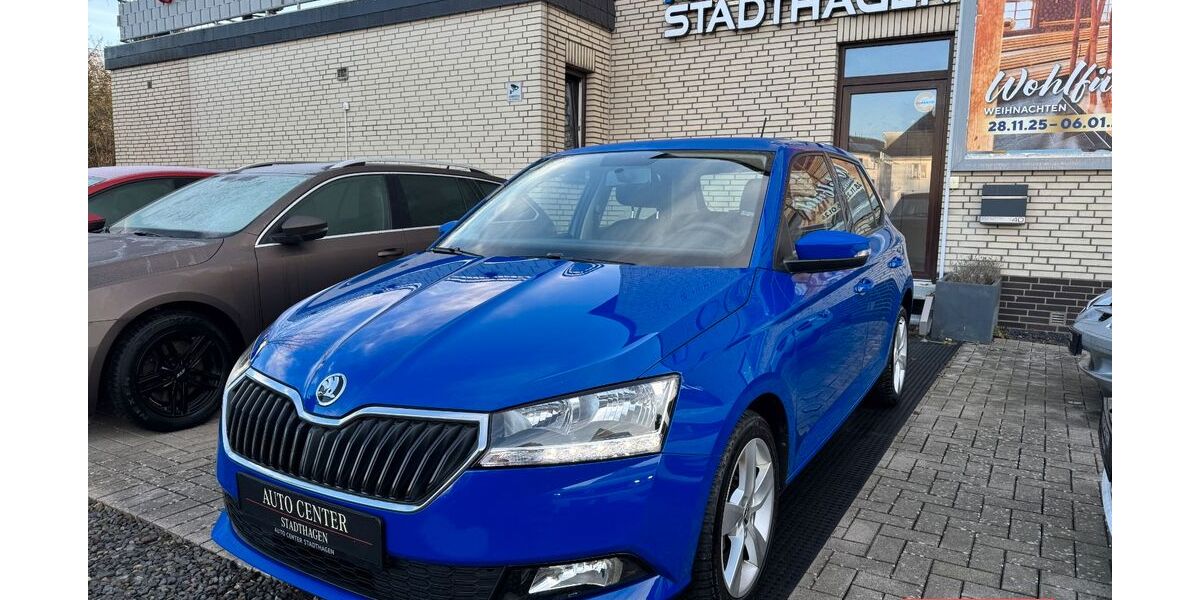 Skoda Fabia 83.000 km 9.750 &euro; Stadthagen 31655