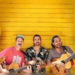 Dis M - Support: Falschgeld