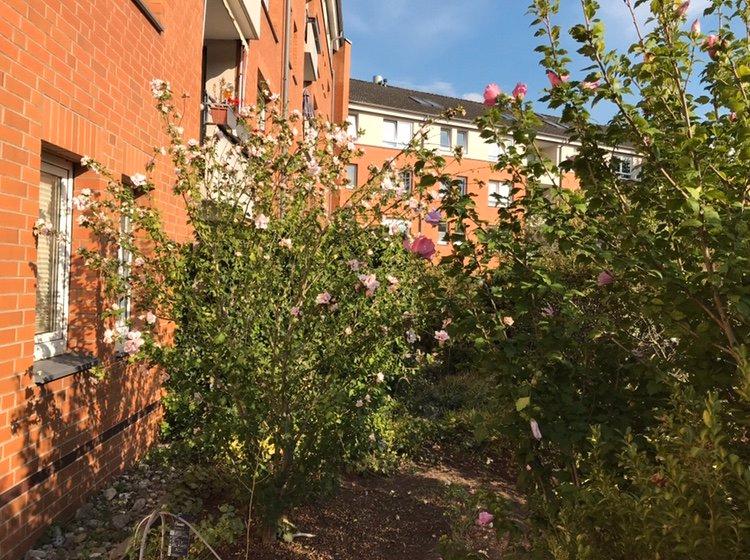 Erdgeschoßwohnung Hannover Herrenhausen-Stöcken - 2 Zimmer, 52 m&sup2;, 220.000&euro; | Angebot:26518083