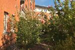 Erdgeschoßwohnung Hannover Herrenhausen-Stöcken - 2 Zimmer, 52 m&sup2;, 220.000&euro; | Angebot:26518083
