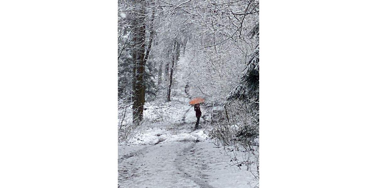 Doppelhaushälfte Wunstorf - 5 Zimmer, 130 m&sup2;, 399.000&euro; | Angebot:25746339