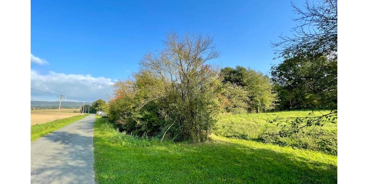 Grundstück Messenkamp - 285.000&euro; | Angebot:25705847