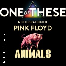 One Of These – A celebration of Pink Floyd / Animals Tour 10.10.2026 Blues Garage