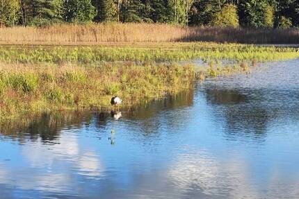 Grundstück Burgwedel Kleinburgwedel - 99.000&euro; | Angebot:25744502