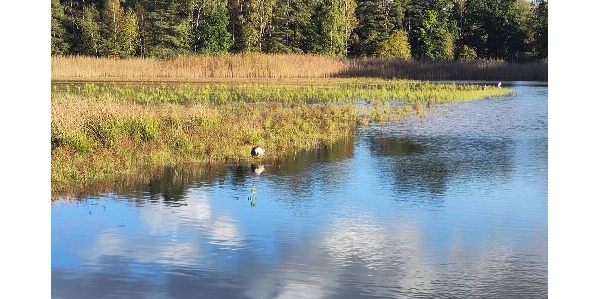 Grundstück Burgwedel Kleinburgwedel - 99.000&euro; | Angebot:25744502