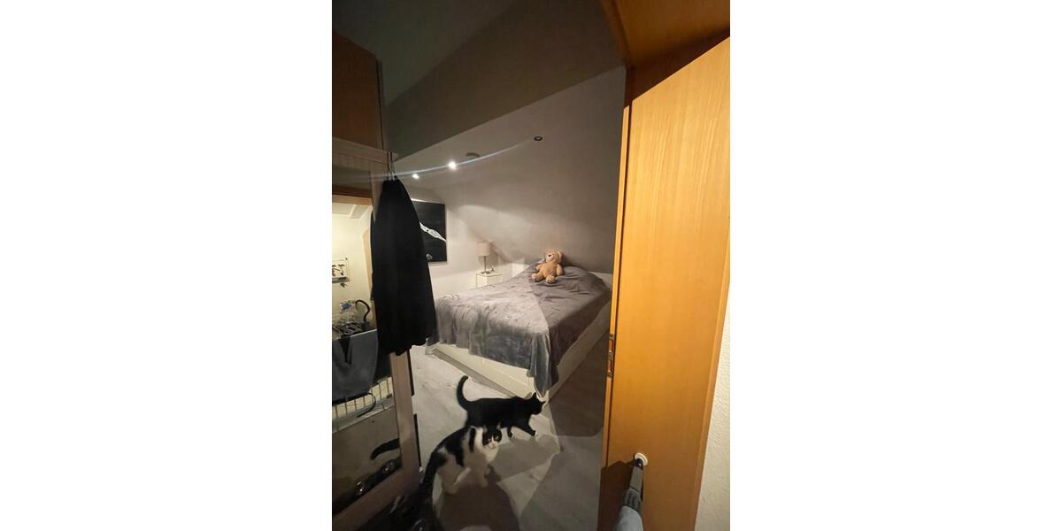 Dachgeschoßwohnung Springe - 2 Zimmer, 52 m&sup2;, 650&euro; | Angebot:25421691