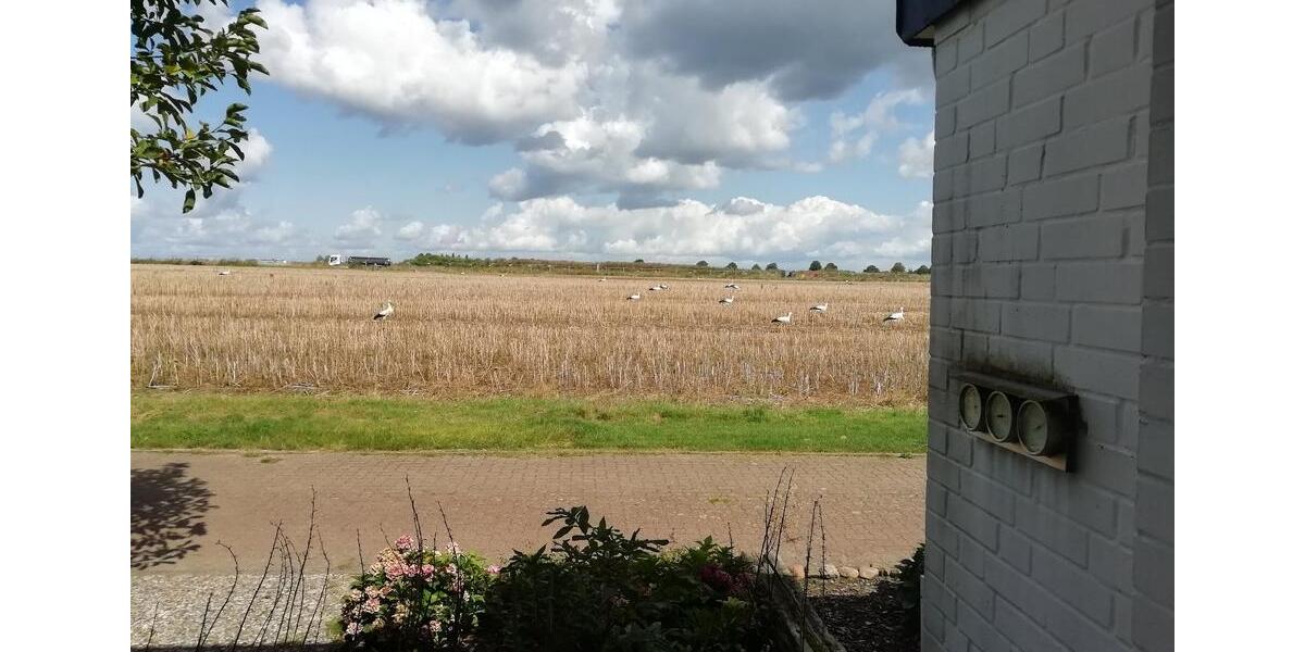 Reihenhaus Wunstorf - 4 Zimmer, 117 m&sup2;, 419.000&euro; | Angebot:24956110