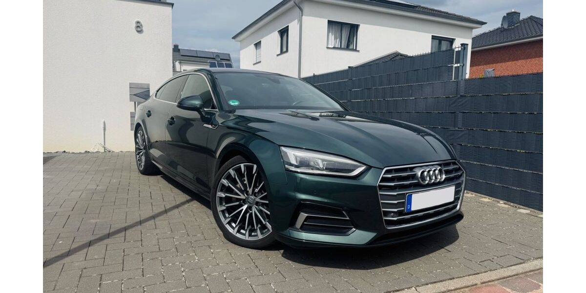 Audi A5 195.067 km 17.850 &euro; Sarstedt 31157
