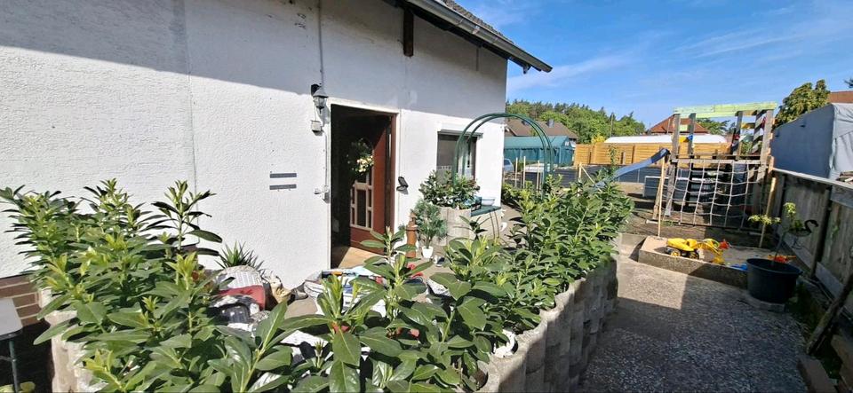 Mehrfamilienhaus, Wohnhaus Neustadt am Rübenberge - 13 Zimmer, 301 m&sup2;, 550.000&euro; | Angebot:26416251