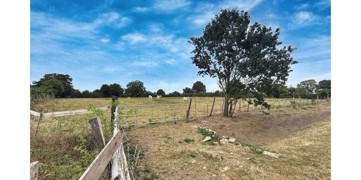 Grundstück Neustadt - 69.000&euro; | Angebot:24902948