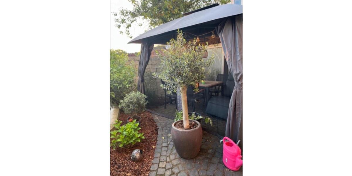 Hochparterre Wunstorf - 4 Zimmer, 173 m&sup2;, 344.000&euro; | Angebot:25977646