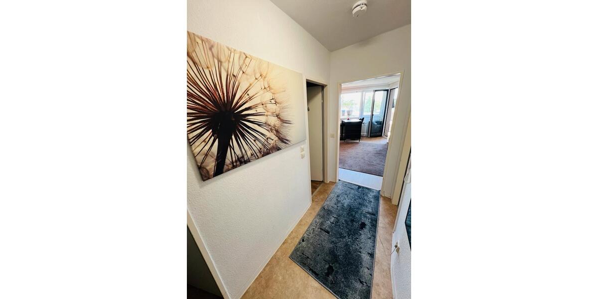 Etagenwohnung Hannover Bult - 1 Zimmer, 50 m&sup2;, 800&euro; | Angebot:24838976