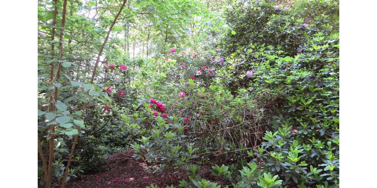 Bungalow Neustadt am Rübenberge - 119.000&euro; | Angebot:24017126