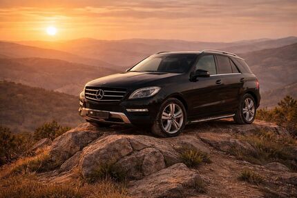 Mercedes-Benz ML 350 226.145 km 14.500 &euro; Hannover 30419