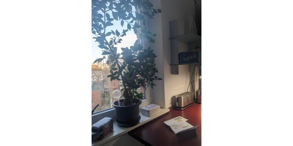 Etagenwohnung Hannover Vahrenwald-List - 2 Zimmer, 72 m&sup2;, 1.165&euro; | Angebot:25639005