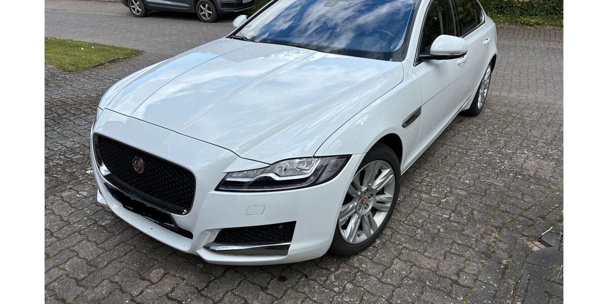 Jaguar XF 63.340 km 17.990 &euro; Rehburg-Loccum 31547