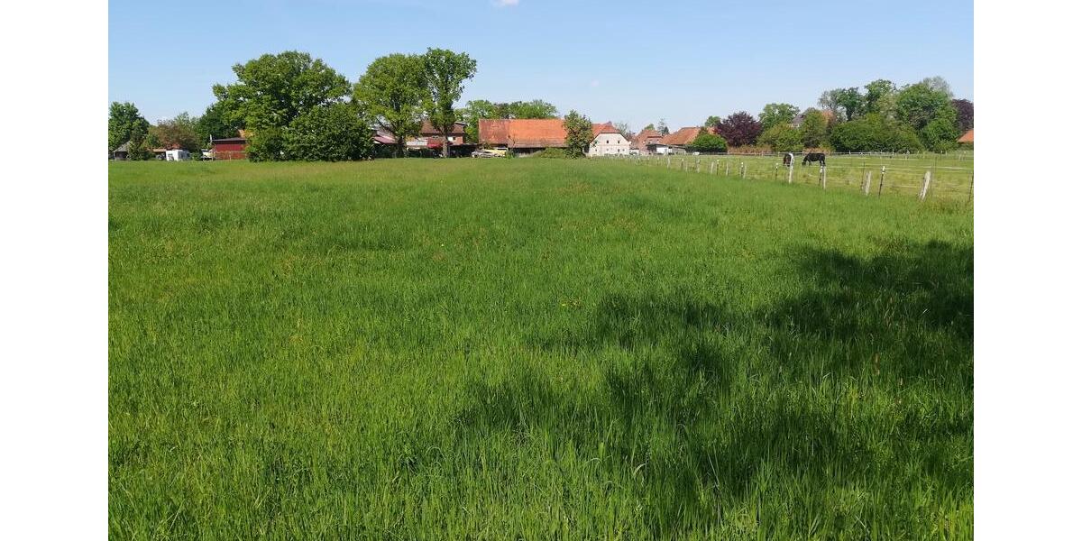 Bauernhaus, Landhaus Lehrte - 12 Zimmer, 300 m&sup2;, 600.000&euro; | Angebot:24841742