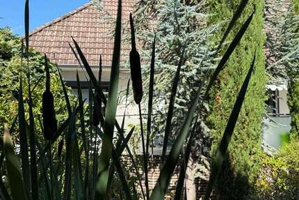 Haus Barsinghausen - 7 Zimmer, 203 m&sup2;, 449.000&euro; | Angebot:25352843