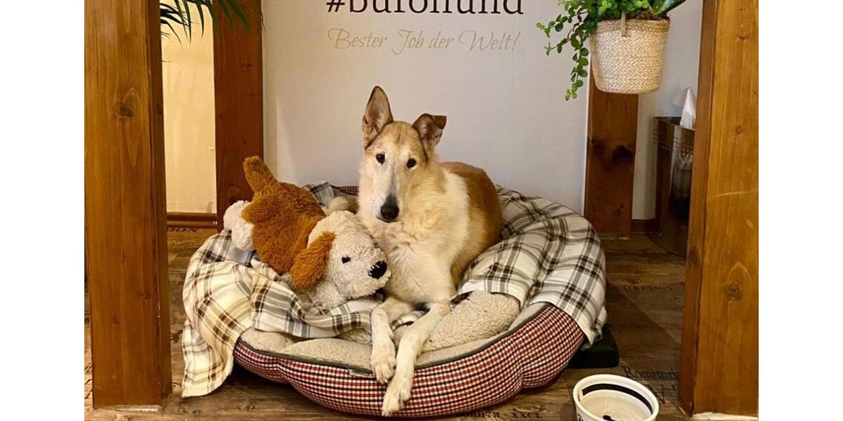 Dachgeschoßwohnung Neustadt am Rübenberge - 4 Zimmer, 117 m&sup2;, 1.130&euro; | Angebot:25841909