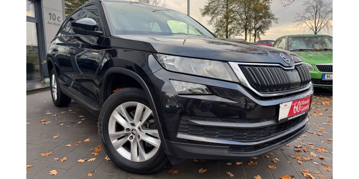 Skoda Kodiaq 175.831 km 17.499 &euro; Isernhagen OT Altwarmbüchen bei Hannover A2/A7 30916