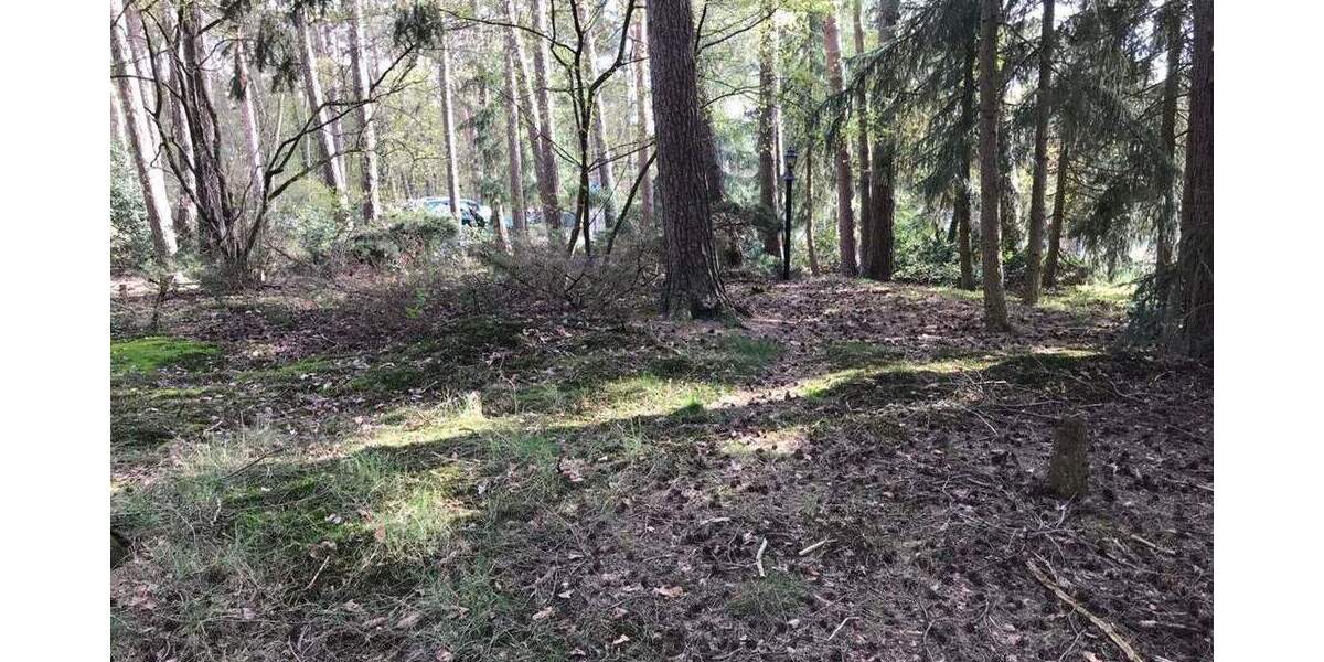 Grundstück Lindwedel - 175.000&euro; | Angebot:25772297