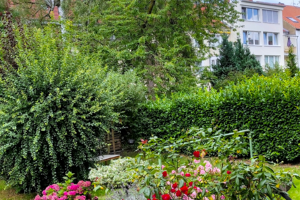Wohnung Hannover Mitte - 2 Zimmer, 50 m&sup2;, 229.000&euro; | Angebot:26624840