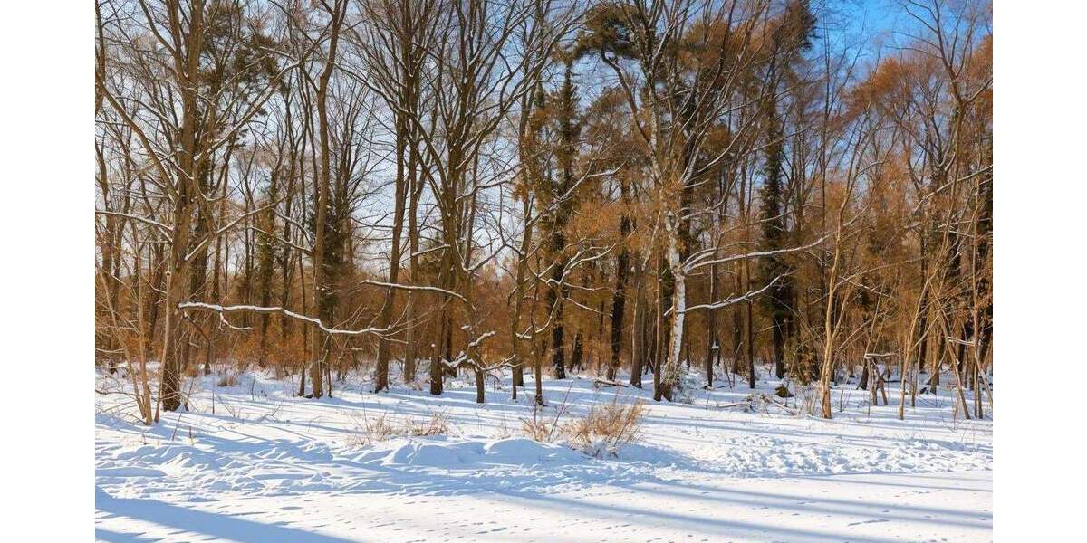 Reihenendhaus Hannover Misburg-Nord - 4 Zimmer, 112 m&sup2;, 354.000&euro; | Angebot:25746024