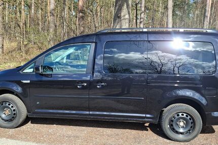 VW Caddy Maxi 320.000 km 6.500 &euro; Neustadt a. Rbge. 31535
