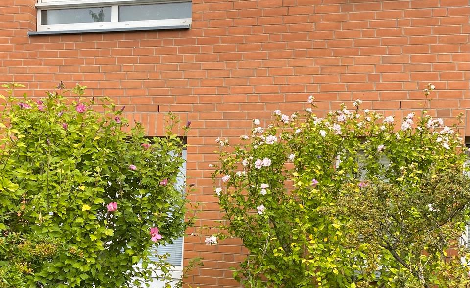 Erdgeschoßwohnung Hannover Herrenhausen-Stöcken - 2 Zimmer, 52 m&sup2;, 220.000&euro; | Angebot:27168751
