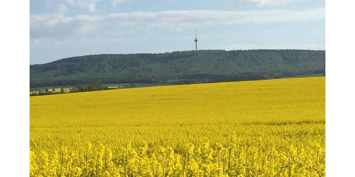 Grundstück Messenkamp - 285.000&euro; | Angebot:25705847