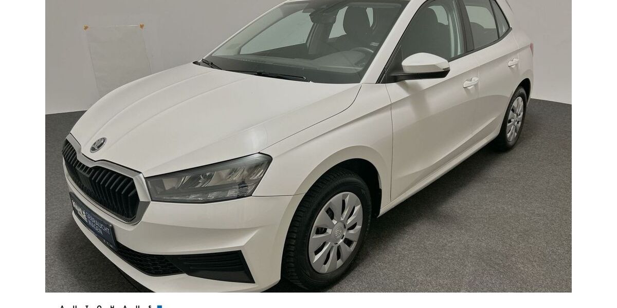 Skoda Fabia 55.013 km 14.990 &euro; Neustadt am Rübenberge 31535