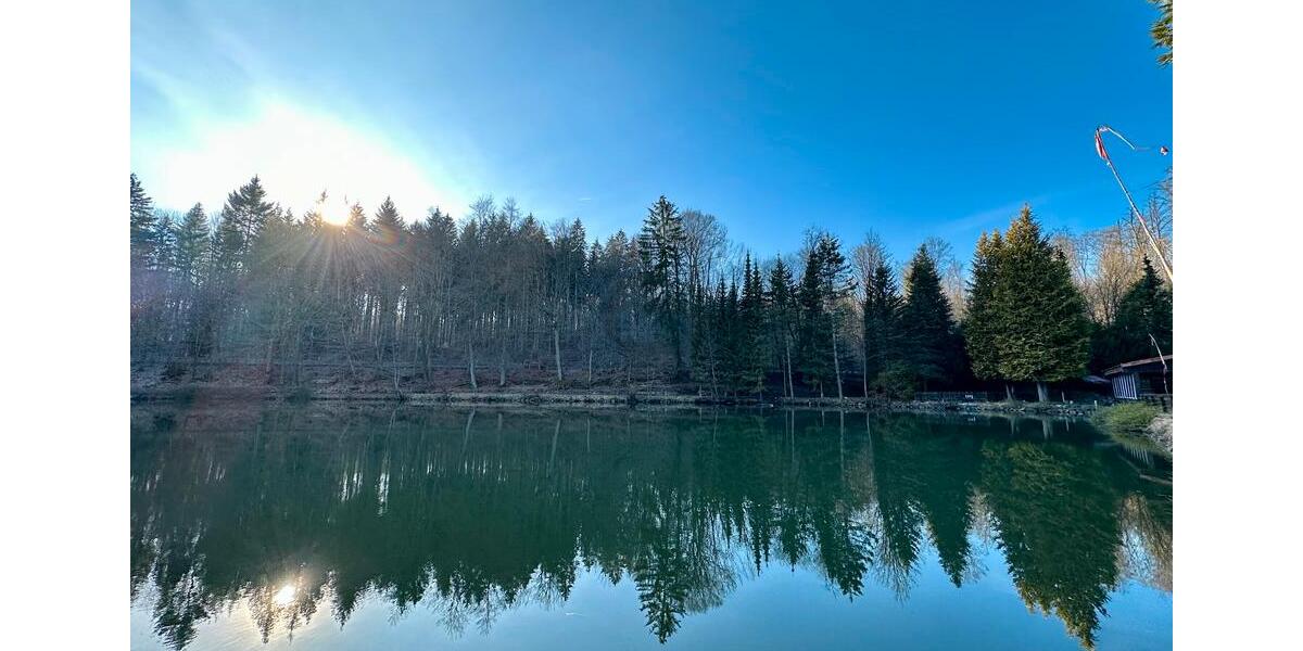 Gewerbeobjekt Springe - 995.000&euro; | Angebot:23741367