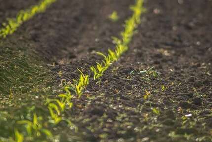 Grundstück Rehburg-Loccum Loccum - 73.188&euro; | Angebot:19054493