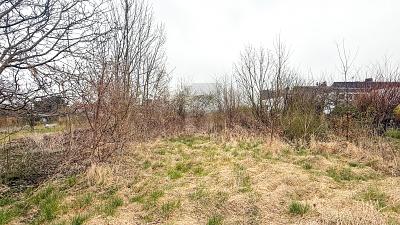 BAUEN NACH IHREN VORSTELLUNGEN - Grundstück Barsinghausen | Angebot:26658970