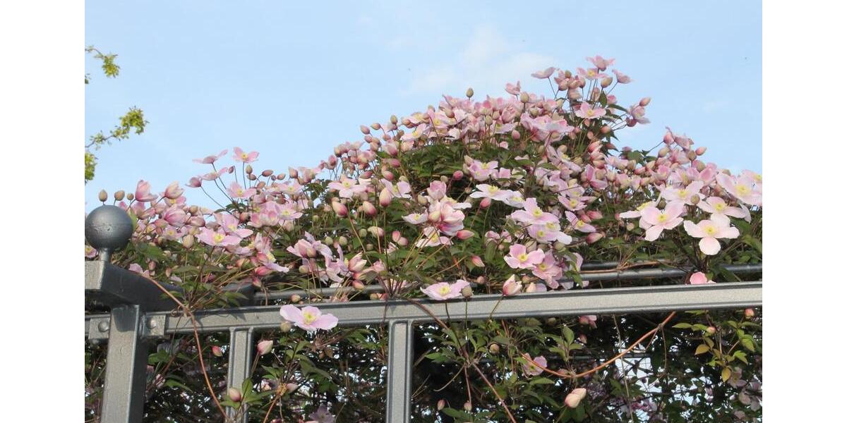 Einfamilienhaus Suthfeld - 11 Zimmer, 511 m&sup2;, 995.000&euro; | Angebot:24534734