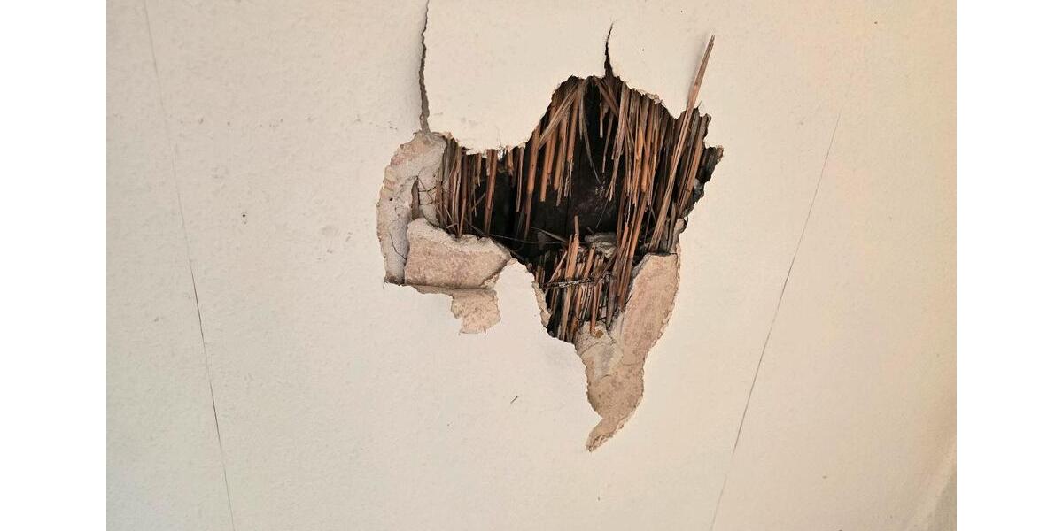 Gewerbeobjekt Hannover Mitte - 100&euro; | Angebot:25473772