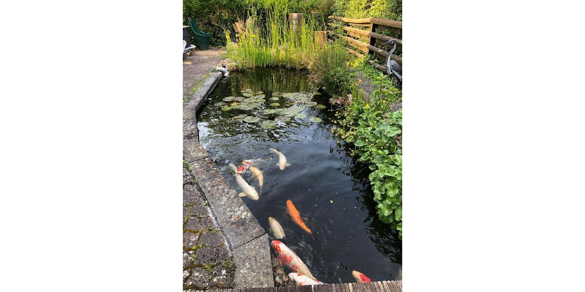 Einfamilienhaus Garbsen Ortschaft Horst - 6 Zimmer, 161 m&sup2;, 499.000&euro; | Angebot:24867062