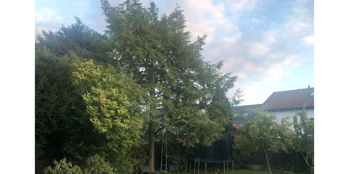 Mehrfamilienhaus, Wohnhaus Hannover Ricklingen - 10 Zimmer, 182 m&sup2;, 540.000&euro; | Angebot:27093233