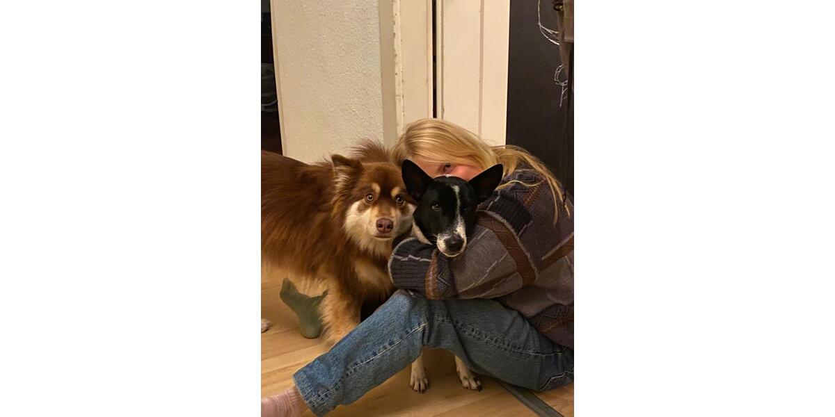 Erdgeschoßwohnung Hannover Vahrenwald-List - 1 Zimmer, 30 m&sup2;, 630&euro; | Angebot:25858517