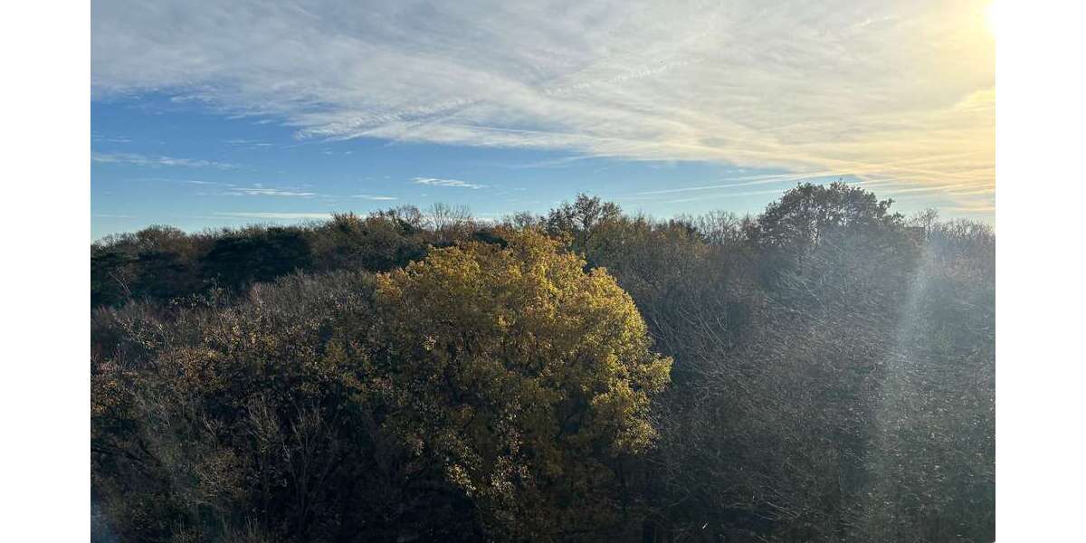 Etagenwohnung Hannover Ledeburg - 2 Zimmer, 58 m&sup2;, 196.000&euro; | Angebot:23788604