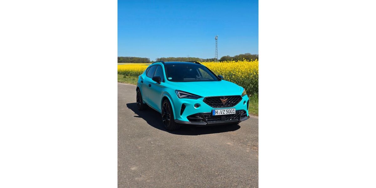 Cupra Formentor 12.500 km 38.990 &euro; Neustadt 31535