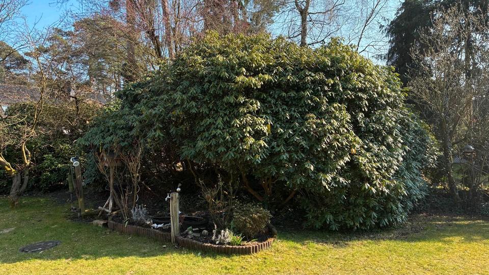 Einfamilienhaus Burgdorf - 6 Zimmer, 235 m&sup2;, 620.000&euro; | Angebot:25795066