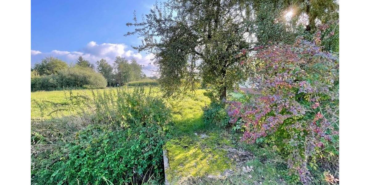 Grundstück Messenkamp - 285.000&euro; | Angebot:25746313