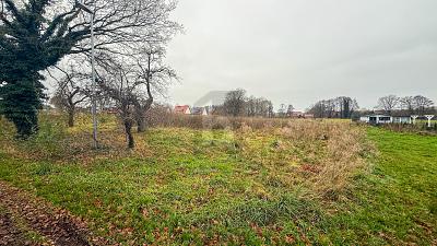 VIEL PLATZ FÜR IHREN TRAUM - Grundstück Steimbke Wendenborstel Wendenborstel | Angebot:25837046